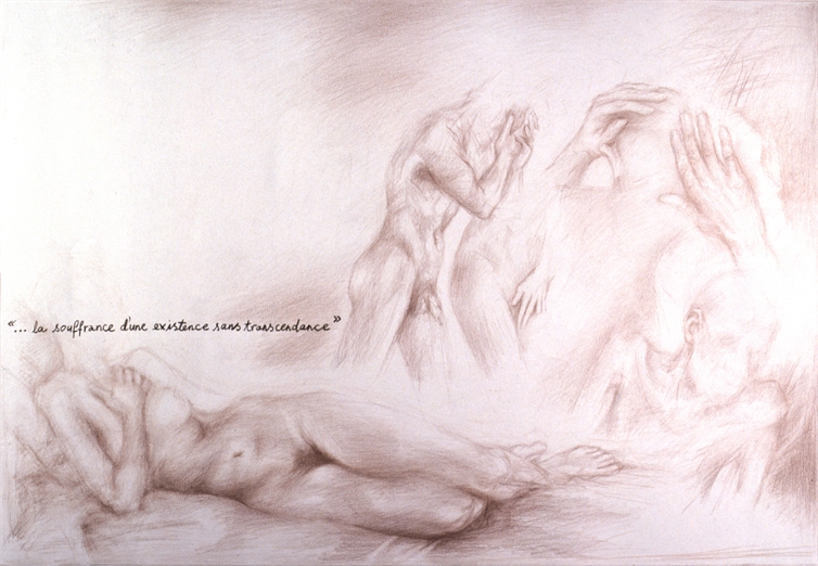 illustrazione per il libro les couleurs de la vie